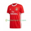 Tenue Benfica Lisbonne Domicile 2019-2020 Maillot de Foot